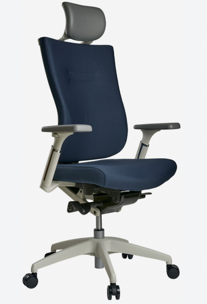 Функциональное кресло Schairs TONE-F01W, Цвет: синий Функциональное кресло Schairs TONE-F01W, Цвет: синий