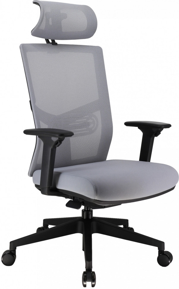 Эргономичное кресло Everprof Fuji Сетка Серый Эргономичное кресло Everprof Fuji Сетка Серый